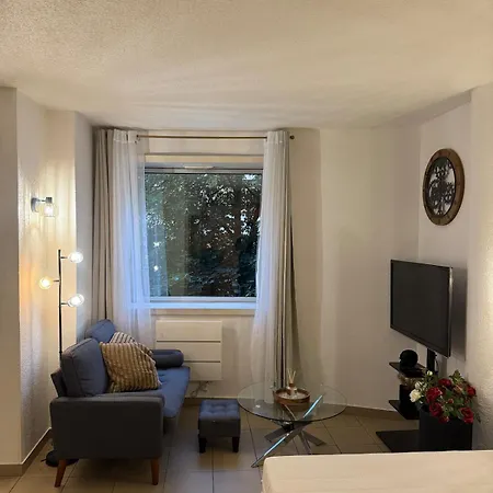 Le Cosy - - Proche De Geneve Apartamento Annemasse